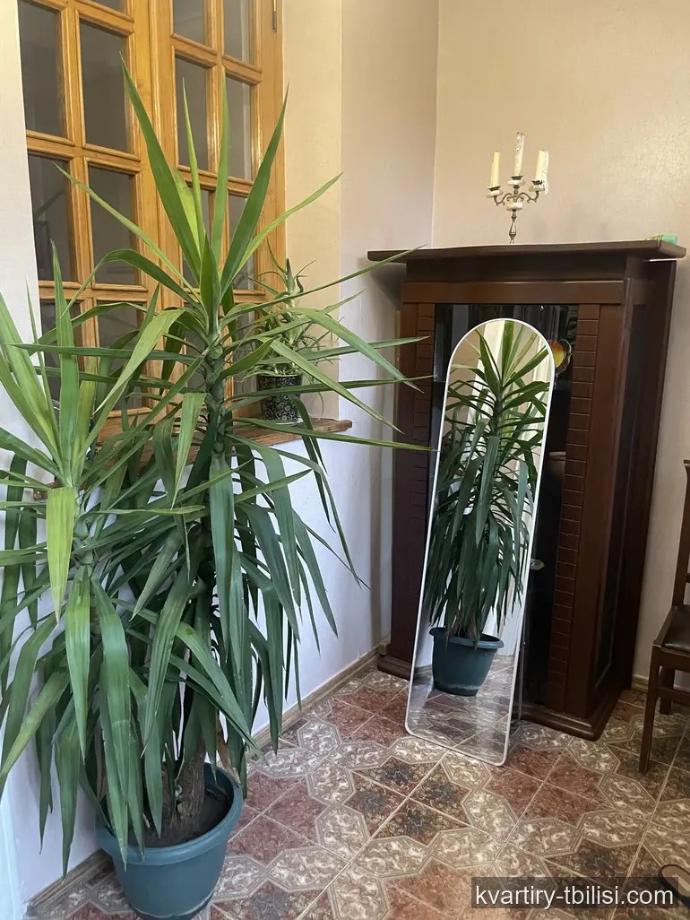 3-bedroom Apartment for rent in Vera, Tbilisi, 85 sqm, floor 1/8 — 1 100 USD/month | Tbilisi Homes