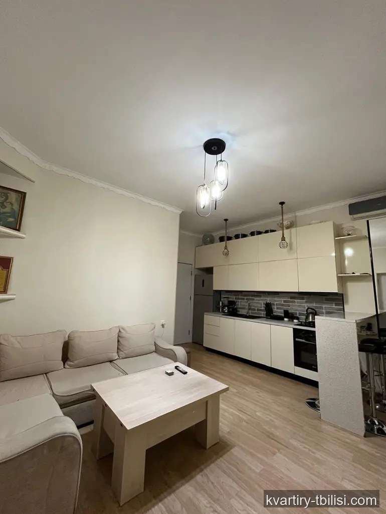 Двухкомнатная квартира в Тбилиси — 56 000 USD | Tbilisi Homes