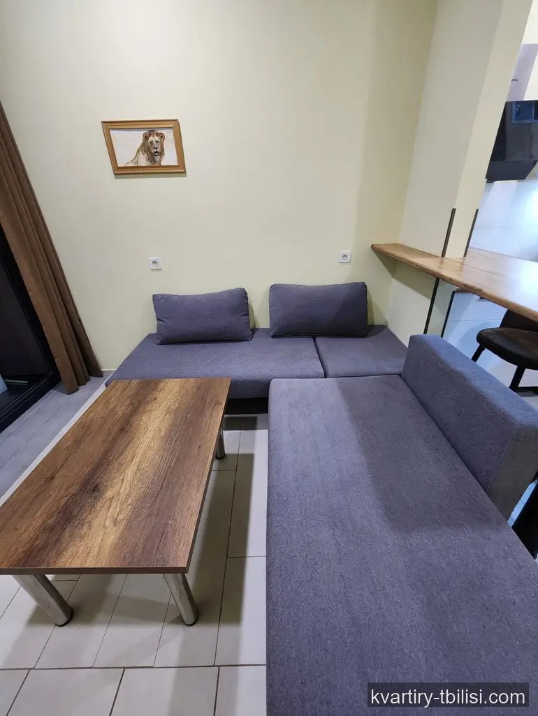 Однокомнатная квартира в Авлабари — 82 000 USD | Tbilisi Homes