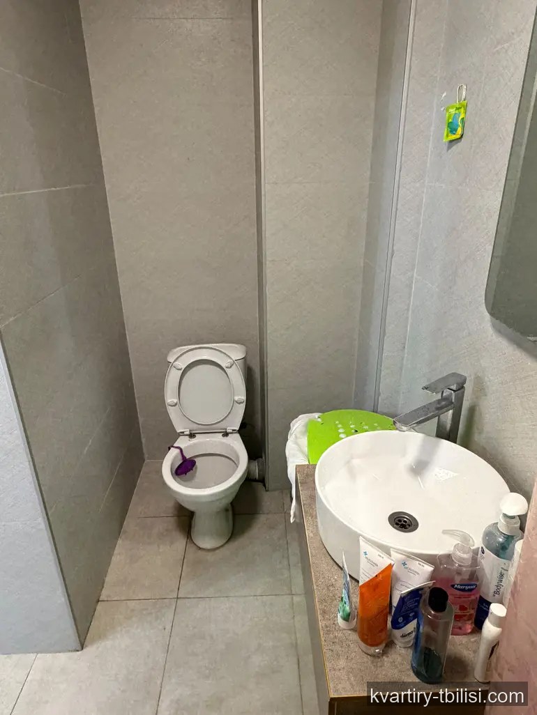 Двухкомнатная квартира в Диди Дигоми — 70 000 USD | Tbilisi Homes