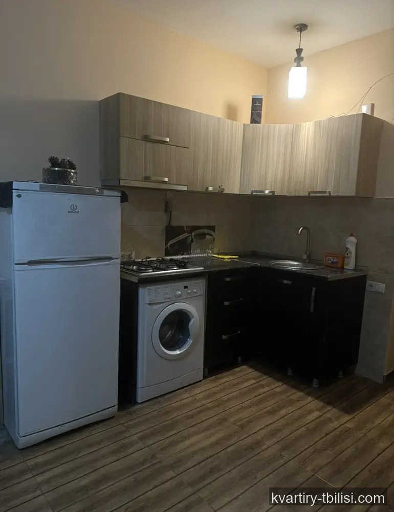 Однокомнатная квартира в Дигомском массиве — 53 000 USD | Tbilisi Homes