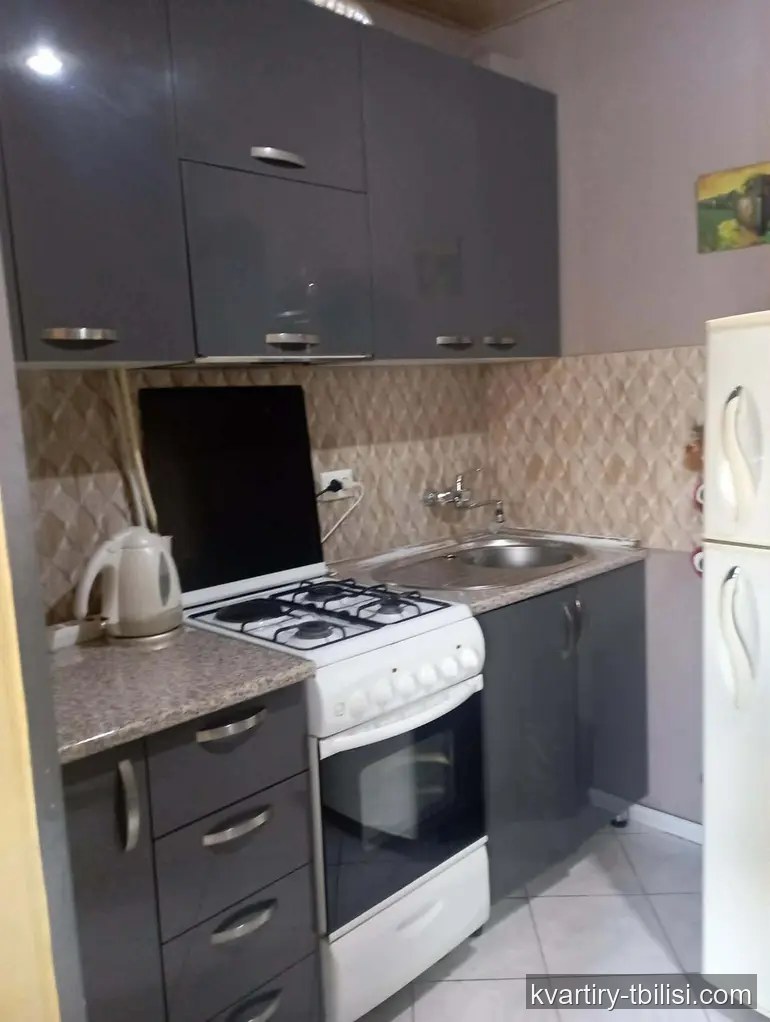 Двухкомнатная квартира в Надзаладеви — 85 000 USD | Tbilisi Homes