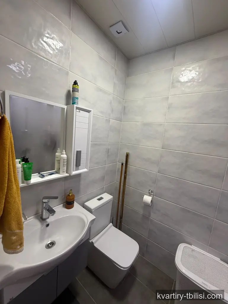 Трёхкомнатная квартира в Надзаладеви — 115 000 USD | Tbilisi Homes