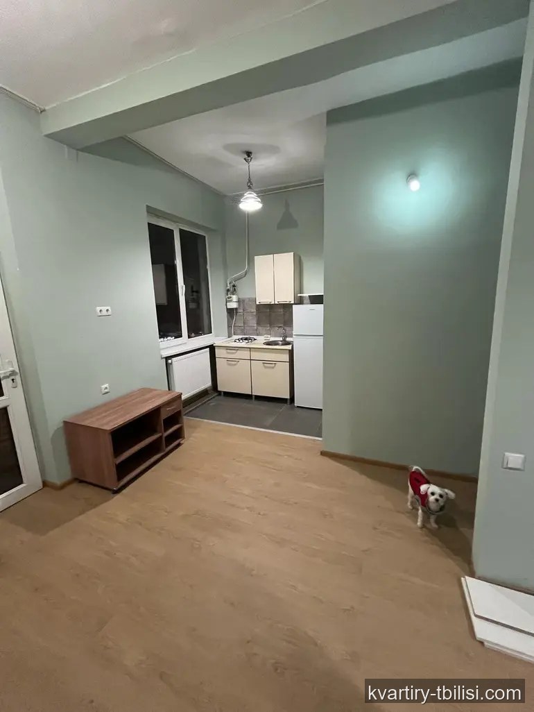 Однокомнатная квартира на Сабуртало — 76 000 USD | Tbilisi Homes