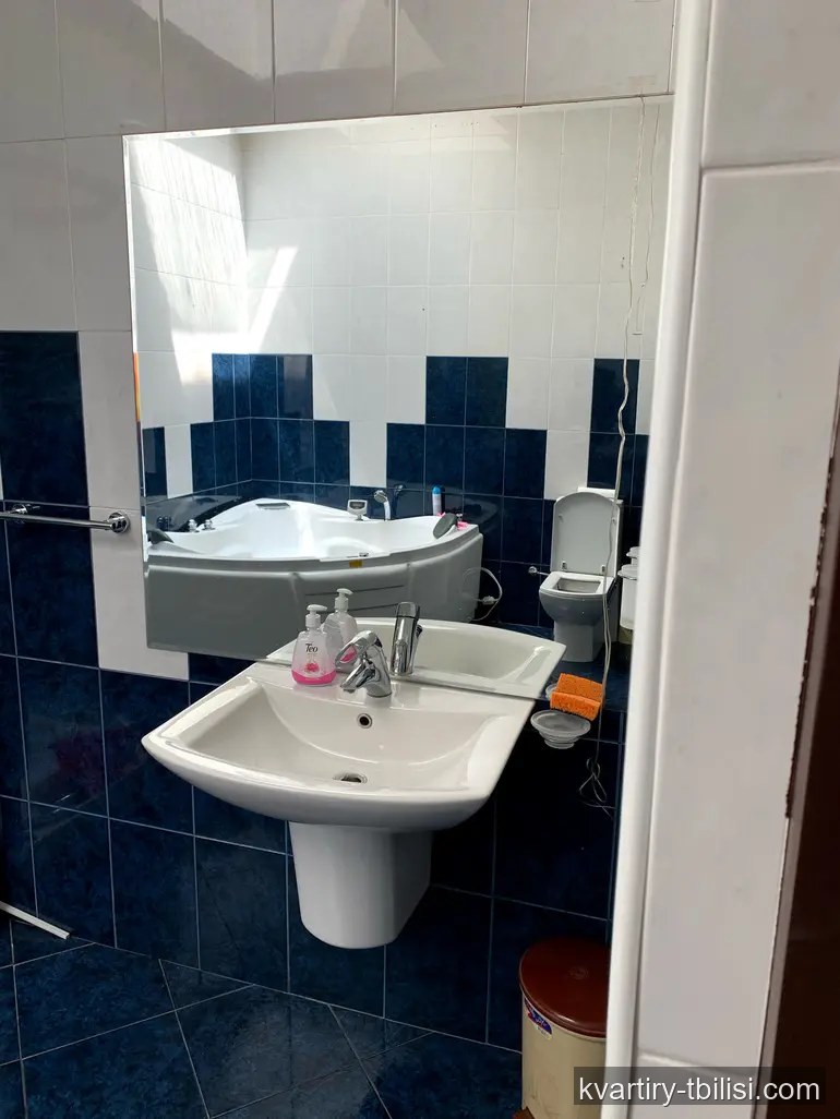 5-bedroom Apartment for sale in Vedzisi, Tbilisi, 187 sqm, floor 2/2 — 240 000 USD | Tbilisi Homes