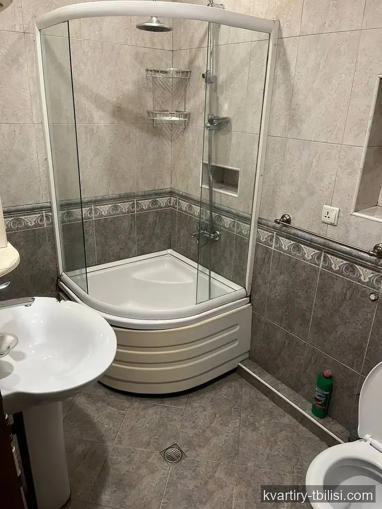 7-комнатная квартира на Вере — 235 000 USD | Tbilisi Homes
