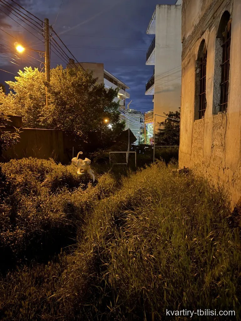 7-комнатный дом на Нутсубидзе — 250 000 USD | Tbilisi Homes