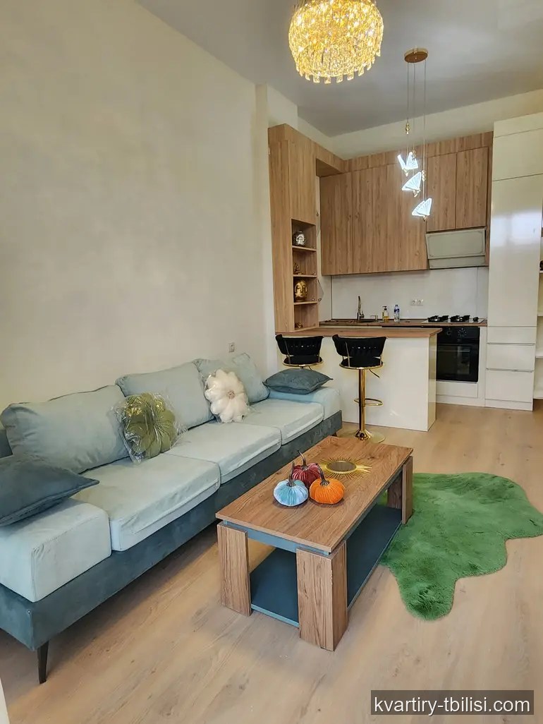 Двухкомнатная квартира на Нутсубидзе — 90 000 USD | Tbilisi Homes