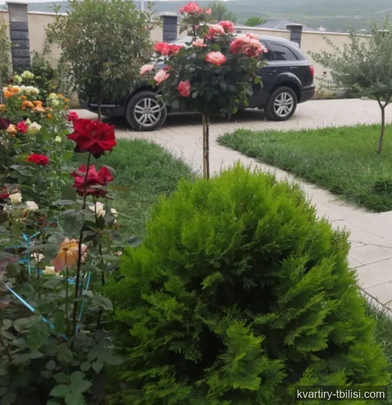 8-комнатный дом в Тбилиси — 540 000 USD | Tbilisi Homes