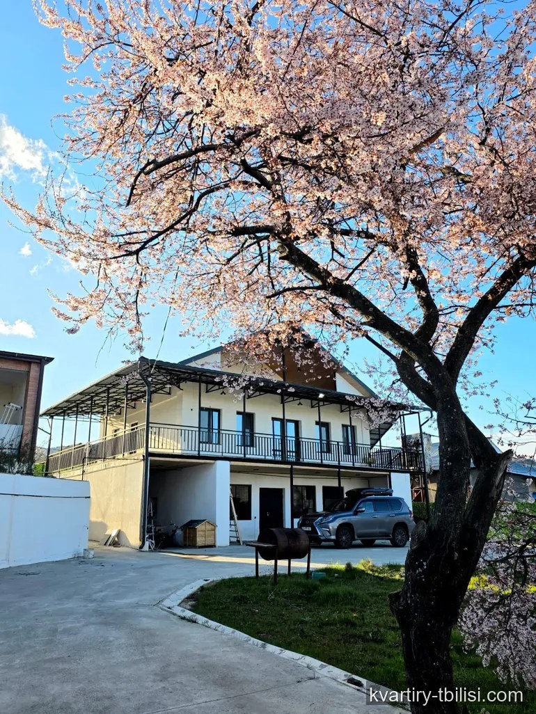 იყიდება 11 ოთახიანი სახლი წავკისში, 390 მ² — 375 000 USD | Tbilisi Homes