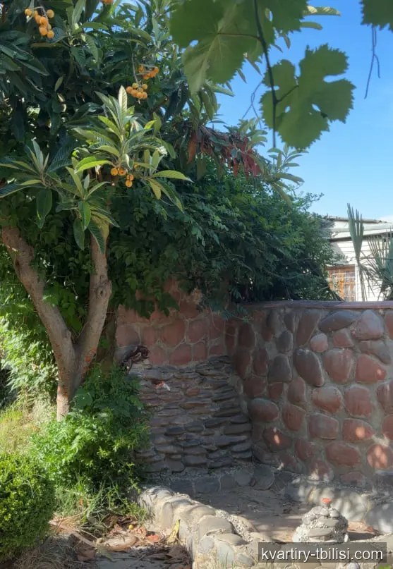 4-bedroom House for sale in Vedzisi, Tbilisi, 500 sqm — 750 000 USD | Tbilisi Homes